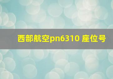 西部航空pn6310 座位号